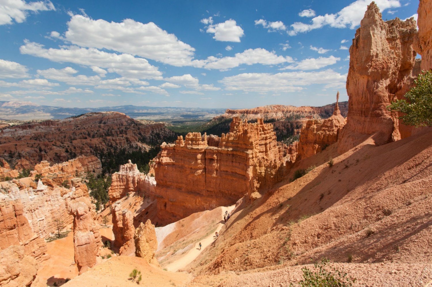 USA_Bryce Canyon_197